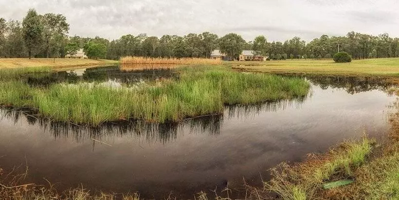 ホテル Madigan Wine Country Cottages