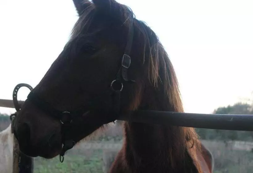 هتل Masseria Incantalupi