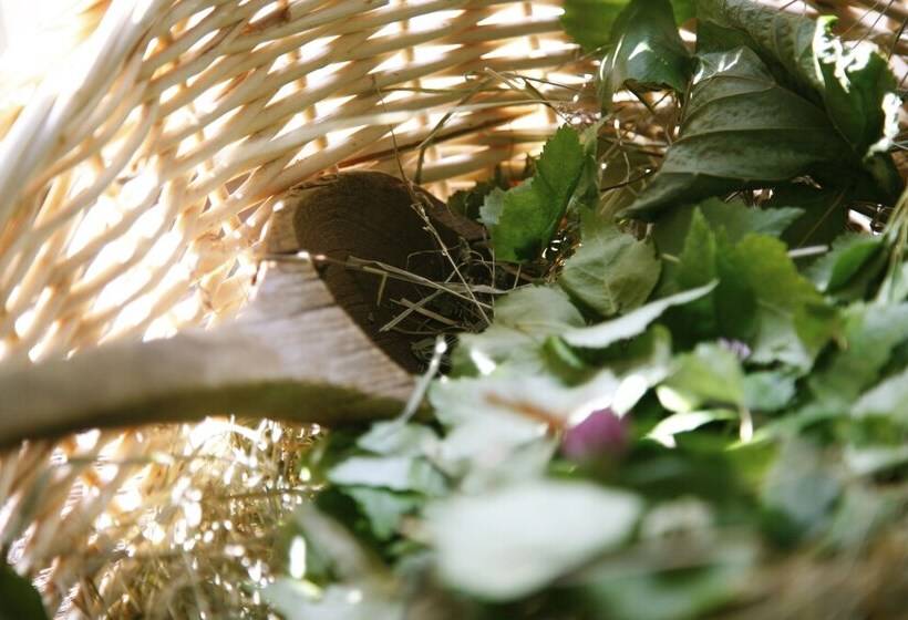 هتل Pädaste Manor