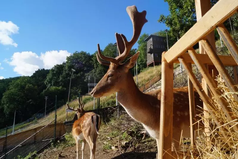 Regiohotel Schanzenhaus Wernigerode