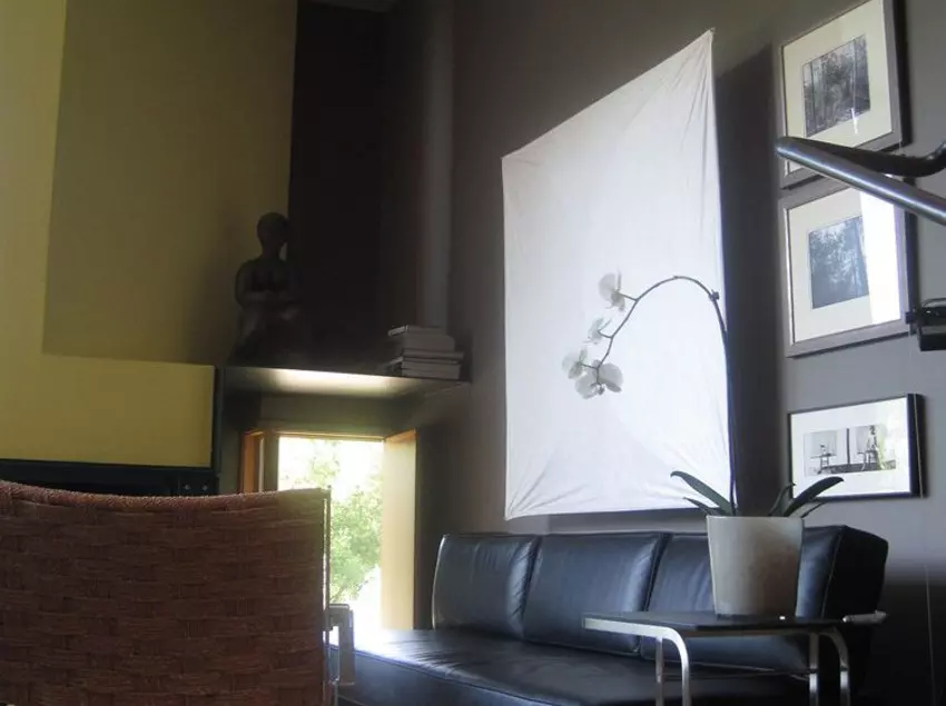 فندق Rundles Morris House