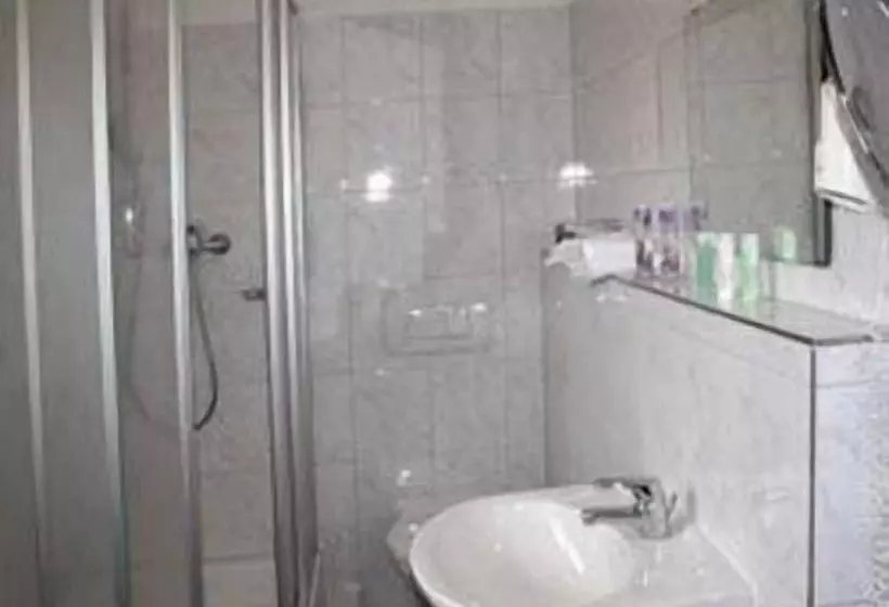 Отель Schwarzacher Hof In Niederbayern