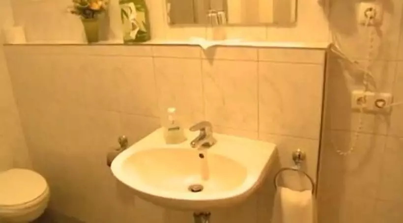 Отель Schwarzacher Hof In Niederbayern