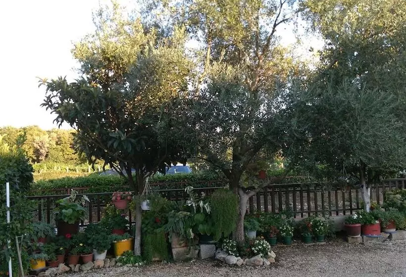 پانسیون Pansion Ivanka Barac