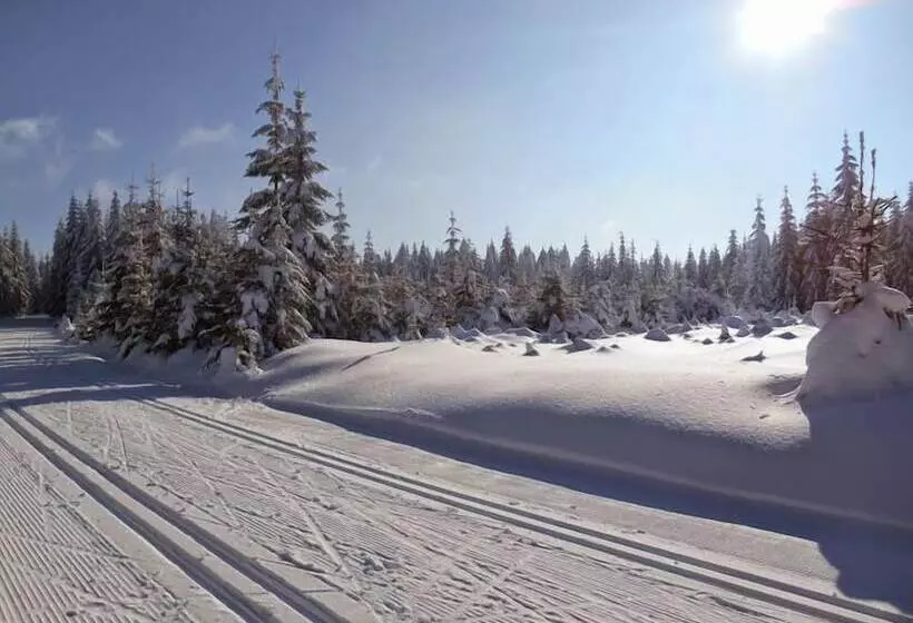 Anna Spa & Wellness Hotel Nejdek