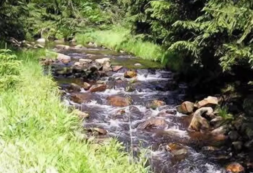 Anna Spa & Wellness Hotel Nejdek