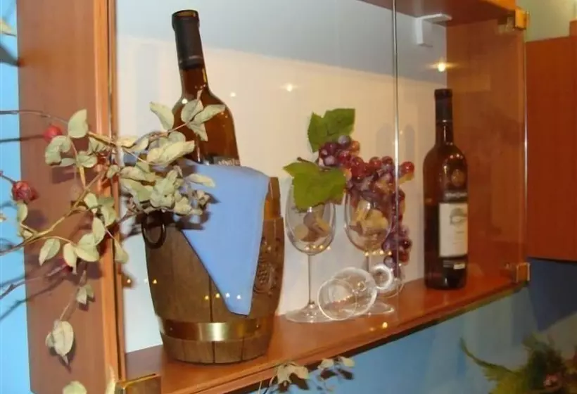 Anna Spa & Wellness Hotel Nejdek