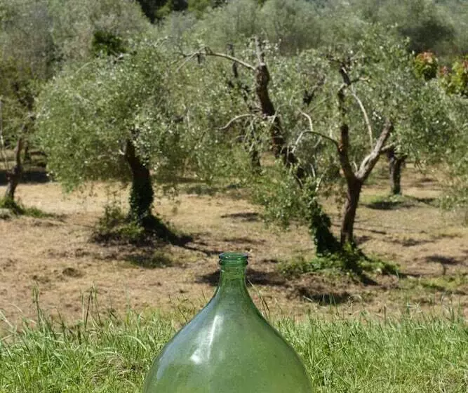 Отель Agriturismo Villa Alari