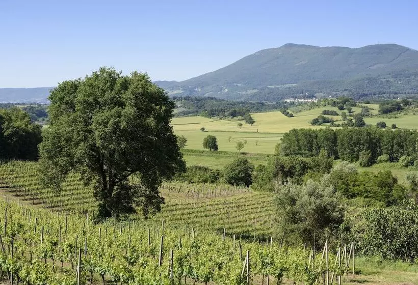 Отель Agriturismo Villa Alari