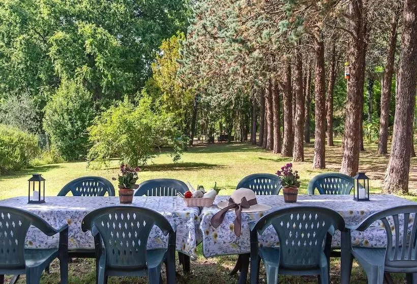 Отель Agriturismo Villa Alari