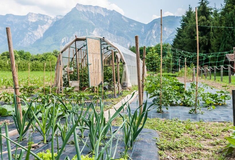 Отель Al Sorriso Greenpark & Wellness