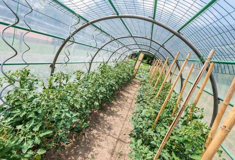 Отель Al Sorriso Greenpark & Wellness