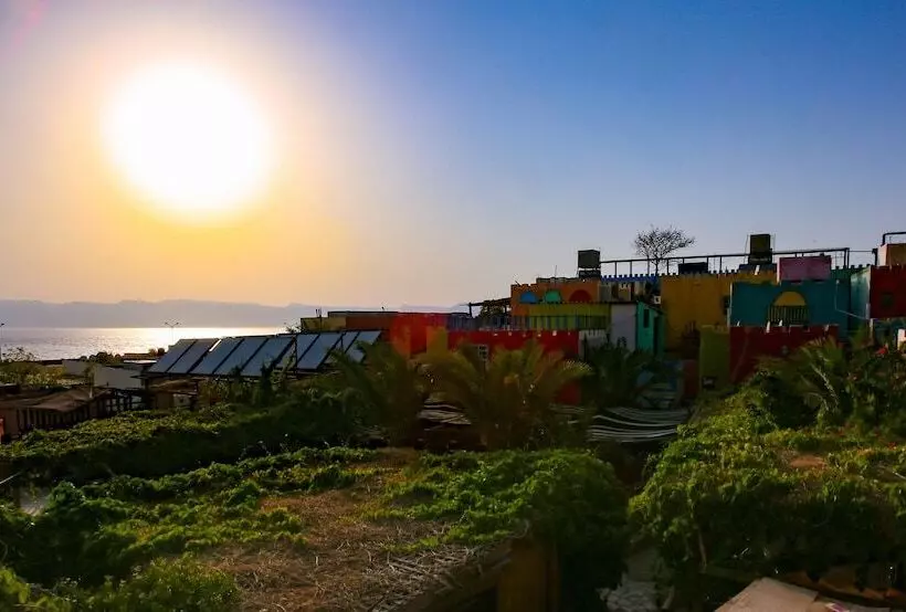 Bedouin Garden Village, Hotel Dive