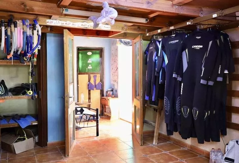 Bedouin Garden Village, Hotel Dive