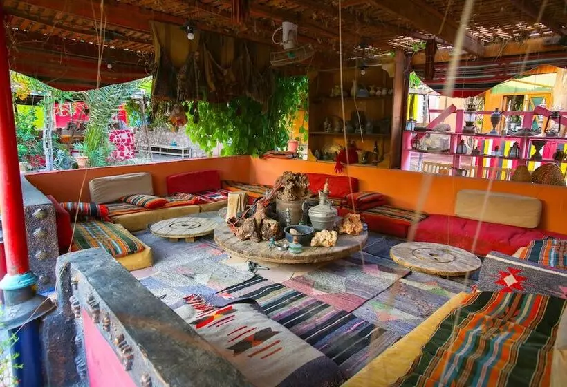 Bedouin Garden Village, Hotel Dive