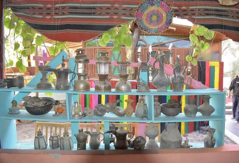 Bedouin Garden Village, Hotel Dive