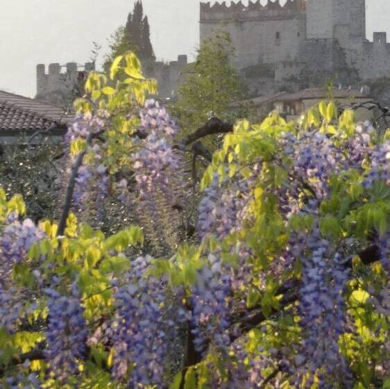 בית מלון כפרי Catullo