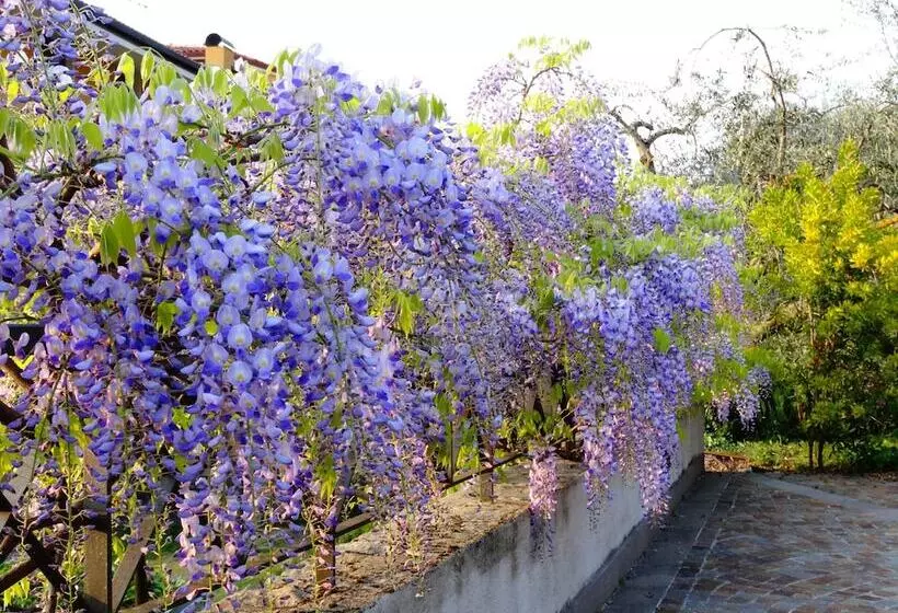 בית מלון כפרי Catullo