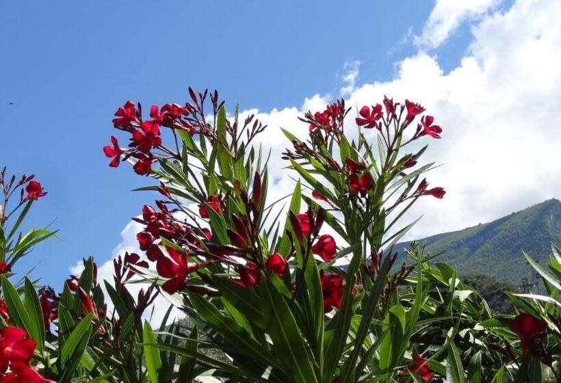 בית מלון כפרי Catullo