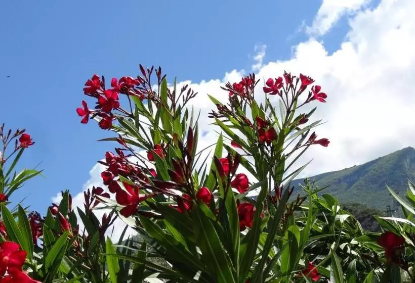 בית מלון כפרי Catullo