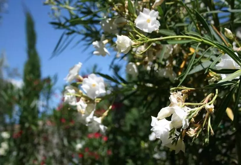 בית מלון כפרי Catullo