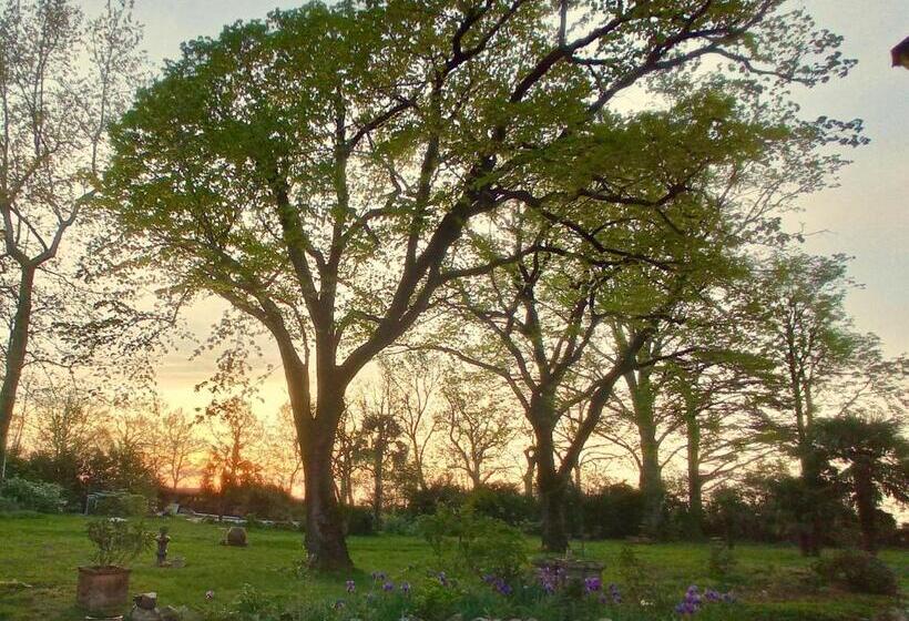 ホテル Domaine De Rasigous