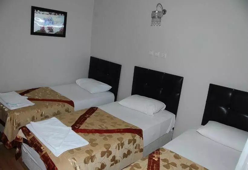 ホテル Dort Mevsim