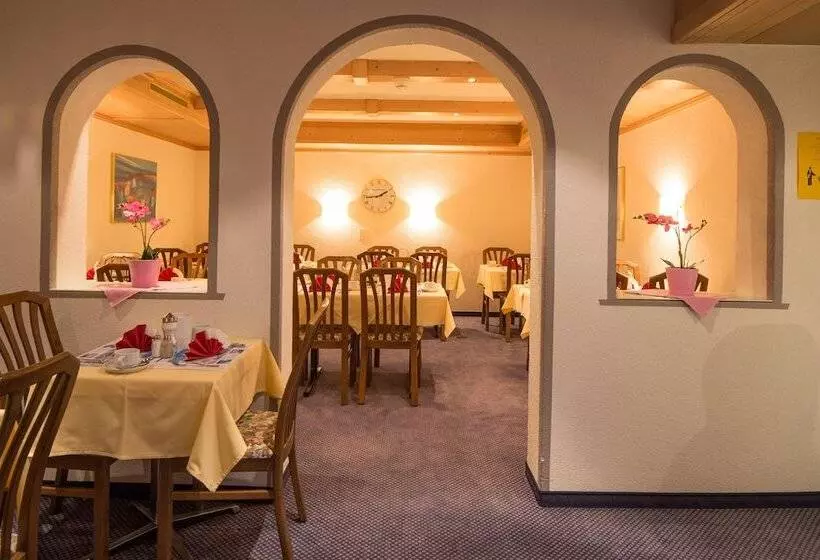 هتل Grindelwalderhof