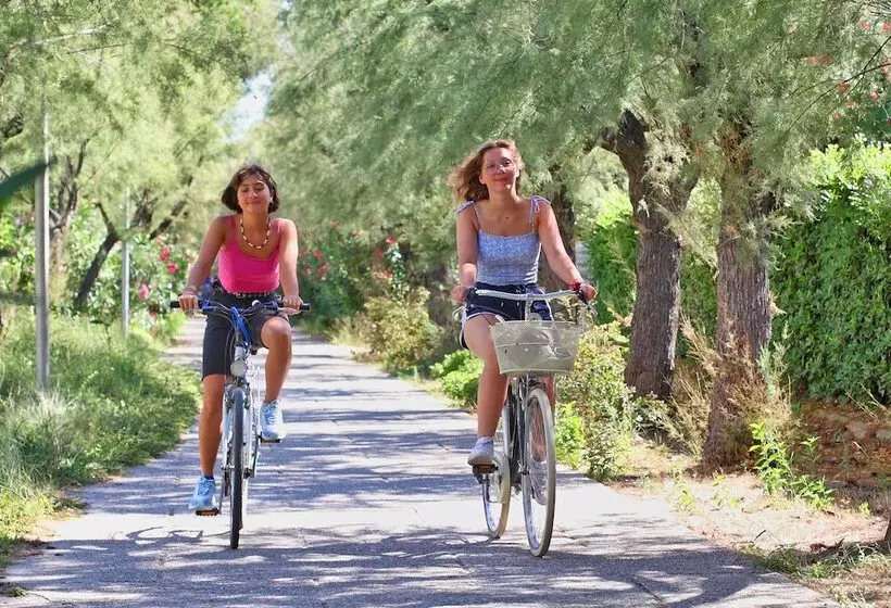 هتل Hôtel Saint Clair, Côté Plage