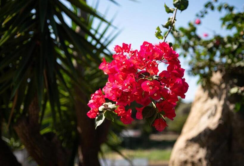 בית מלון כפרי Raffael