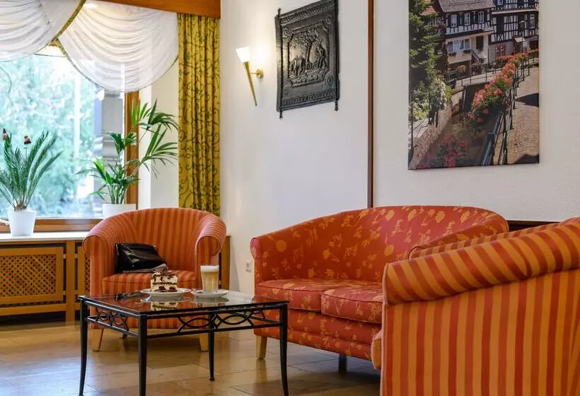 호텔 Ring Garni Pflug