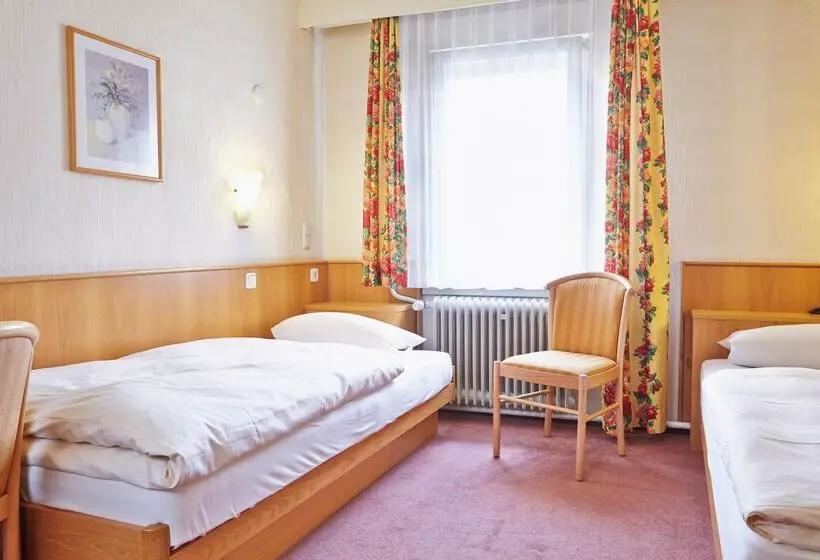 호텔 Ring Garni Pflug