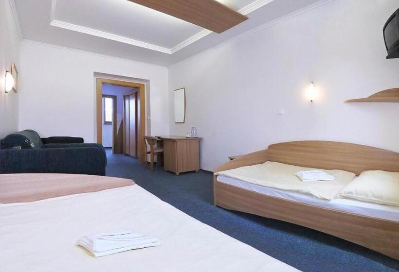 فندق Wellness Penzion Maxim