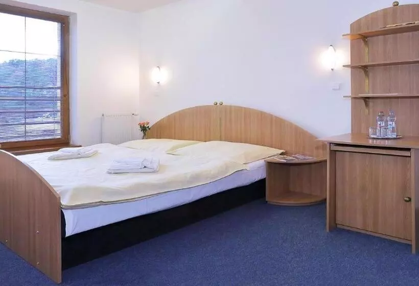 فندق Wellness Penzion Maxim