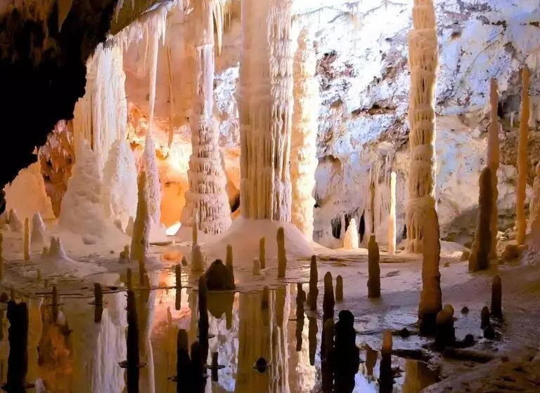 Отель Albergo Shine