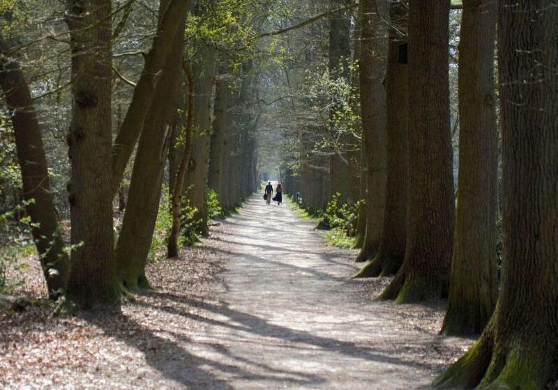 בית מלון כפרי De Bonte Wever Assen