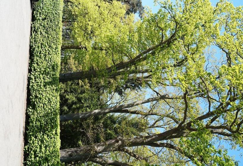 בית מלון כפרי Forsthaus St. Hubertus