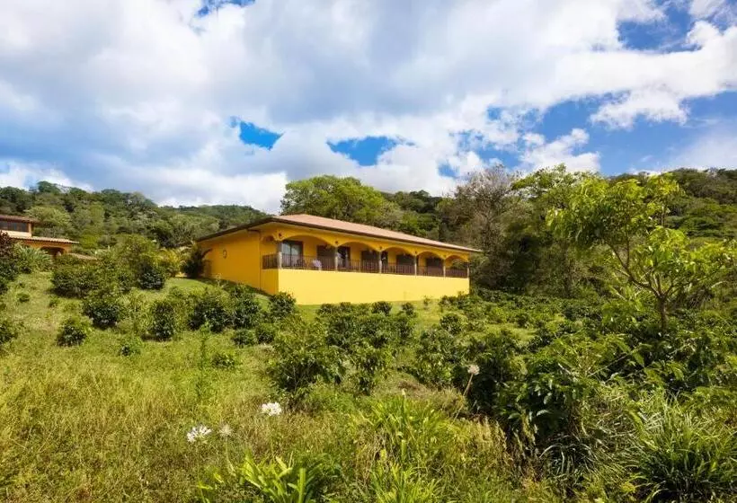 Hotel Los Establos Boutique Resort   All Inclusive