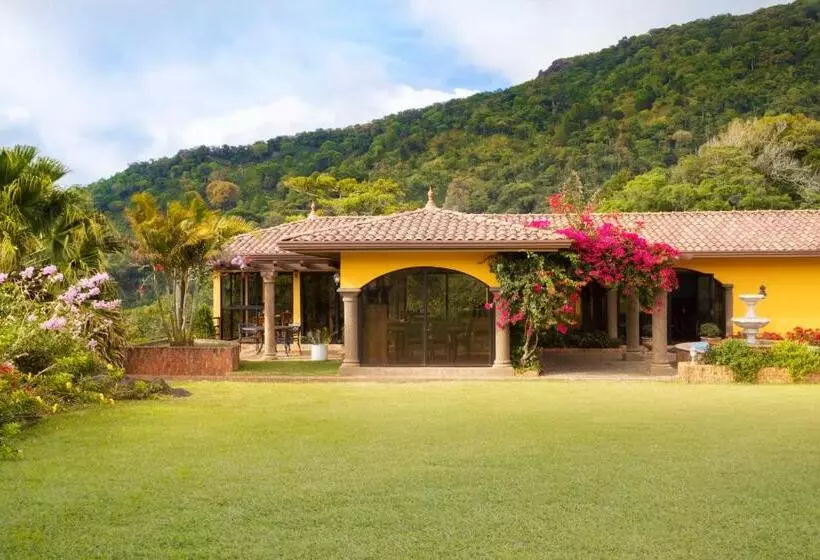 Hotel Los Establos Boutique Resort   All Inclusive