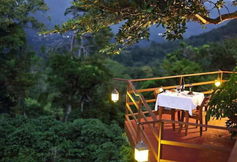 Hotel Los Establos Boutique Resort   All Inclusive