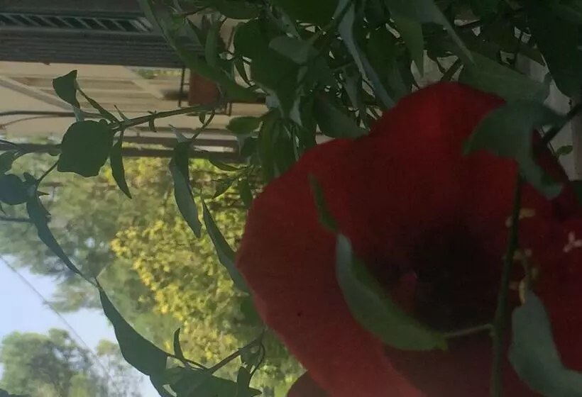 בית מלון כפרי Paterno