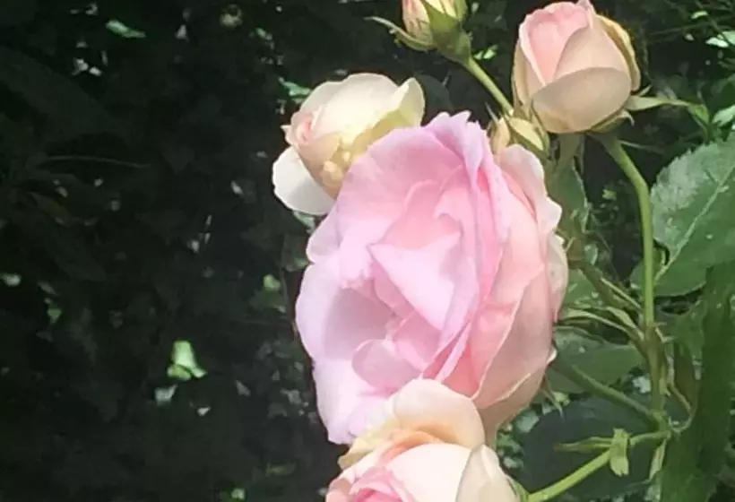 בית מלון כפרי Paterno