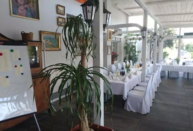 酒店 Pensjonat Stek