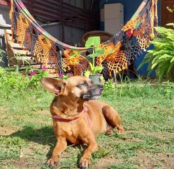 هتل Estação Noronha