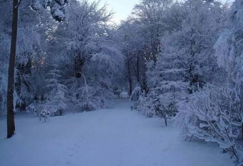 乡村酒店  Castle Grove Country House