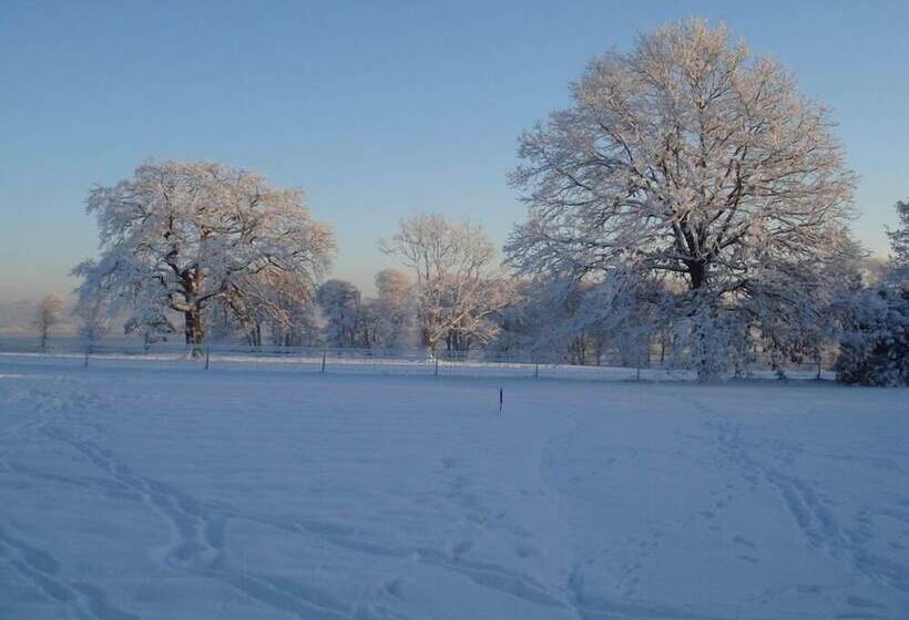 田舎風ホテル Castle Grove Country House