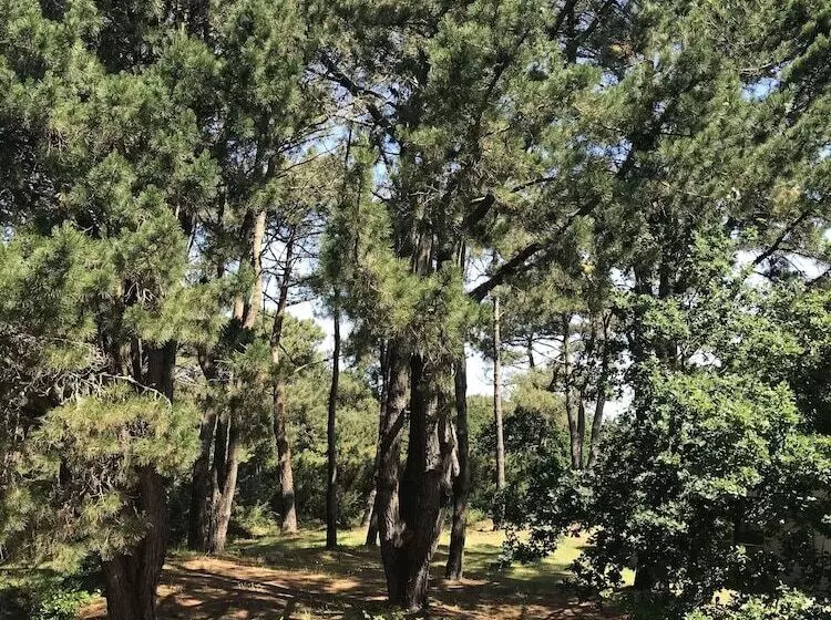 Le Galet Hotel & Spa