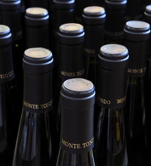 Bed and Breakfast Monte Tondo Winery