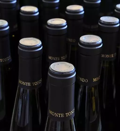 住宿加早餐 Monte Tondo Winery