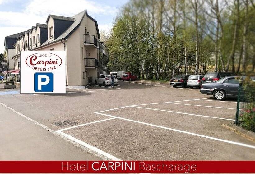 هتل Carpini